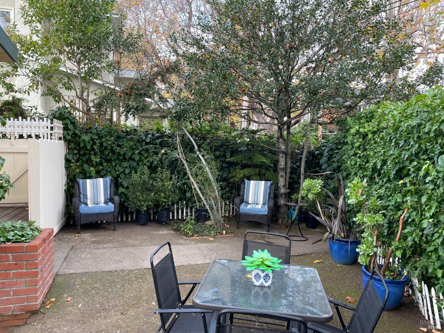 29 Locust Avenue Mill Valley, CA 94941 - Photo 8 of 26 a view of backyard with outdoor seating a patio and plants