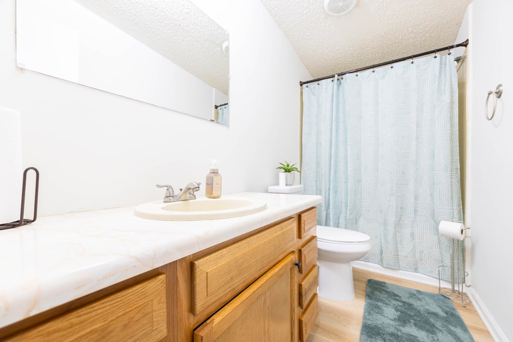 17 Miles Strip Fort Mitchell, AL 36856 - Photo 11 of 17 Hall Bathroom