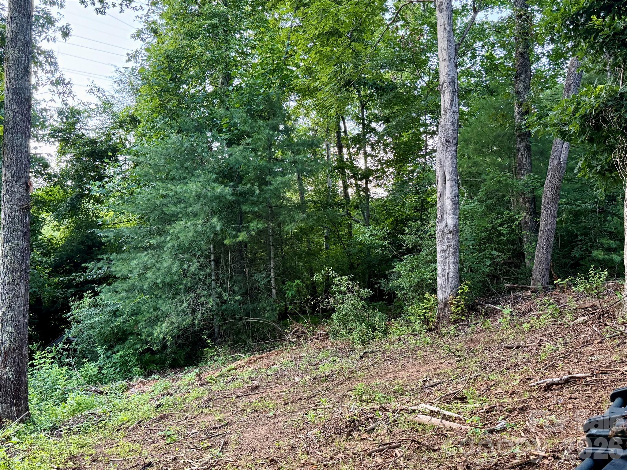 251 Cox Road Pisgah Forest, NC 28768 - Photo 9 of 15