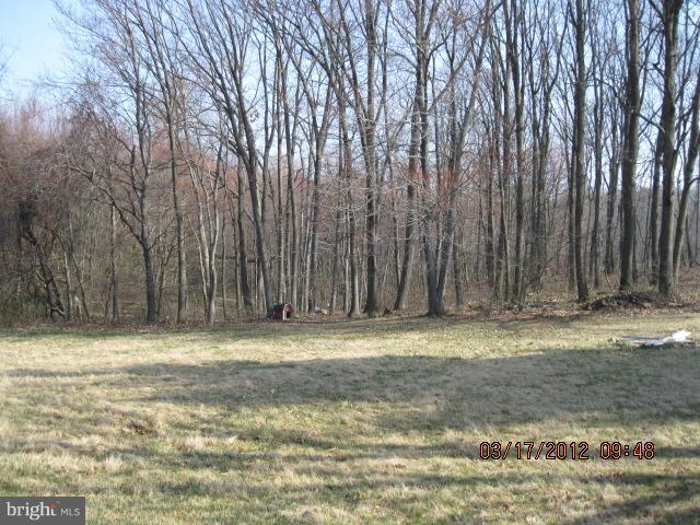 1961 Albert Rill Road Hampstead, MD 21074 - Photo 9 of 15 Exterior (Rear)