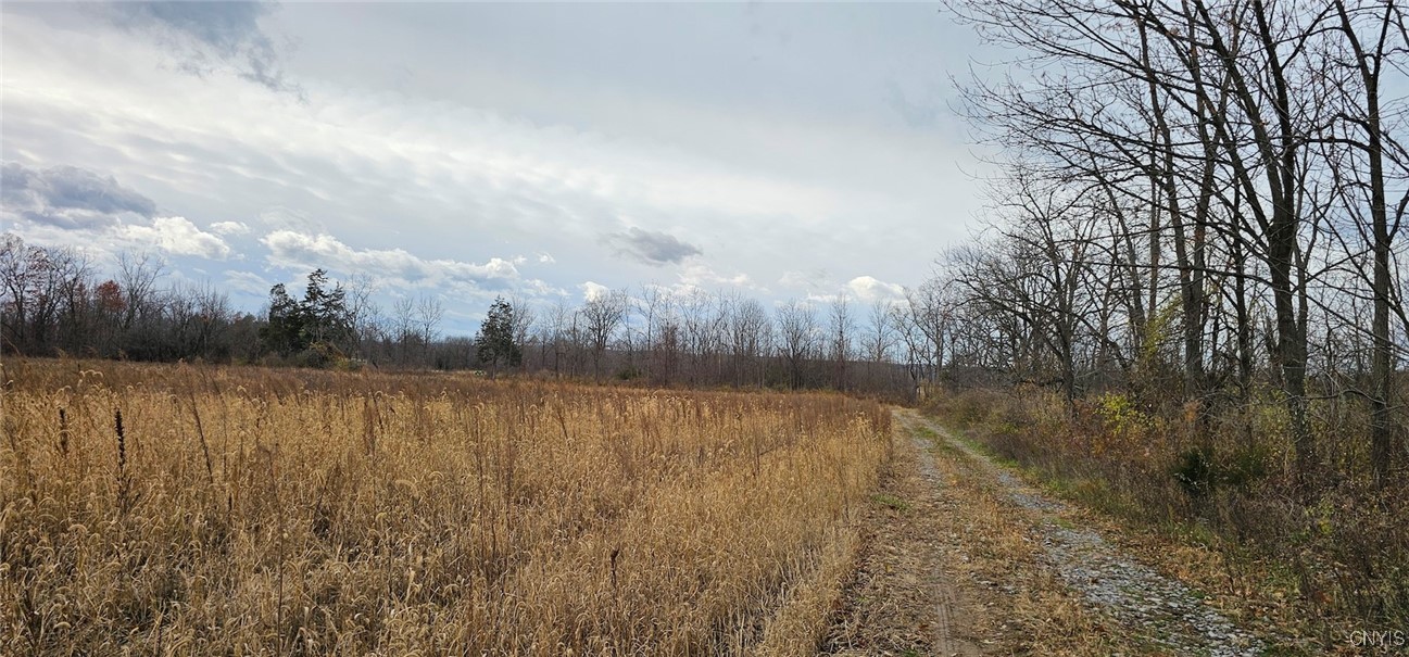 East Lake Road Geneva, NY 14456 - Photo 19 of 31