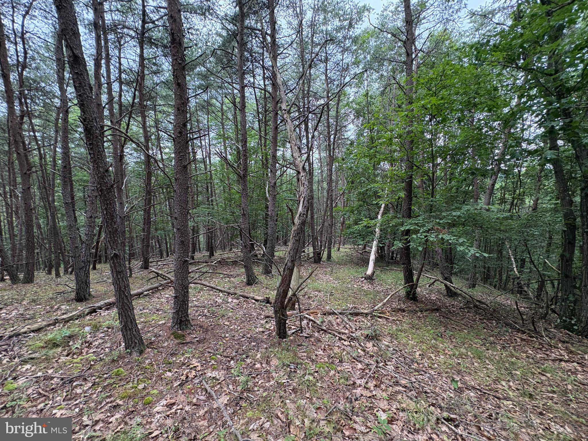 Lot 126 Bluffs Blue Beach Road Springfield, WV 26763 - Photo 17 of 20