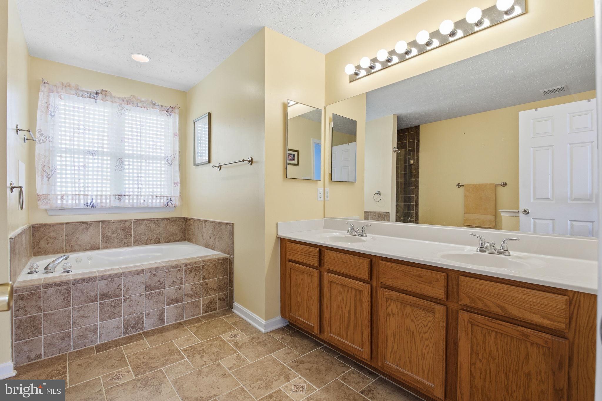 3171 Pyramid Circle Manchester, MD 21102 - Photo 21 of 38 Primary bath dual sinks & jetted tub