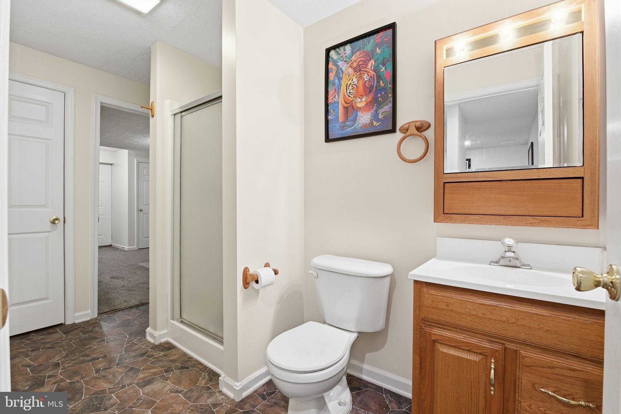3171 Pyramid Circle Manchester, MD 21102 - Photo 31 of 38 Lower level full bathroom