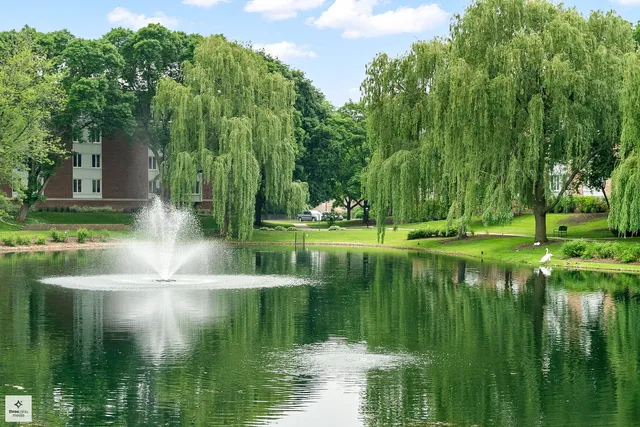 a view of a lake with a yard