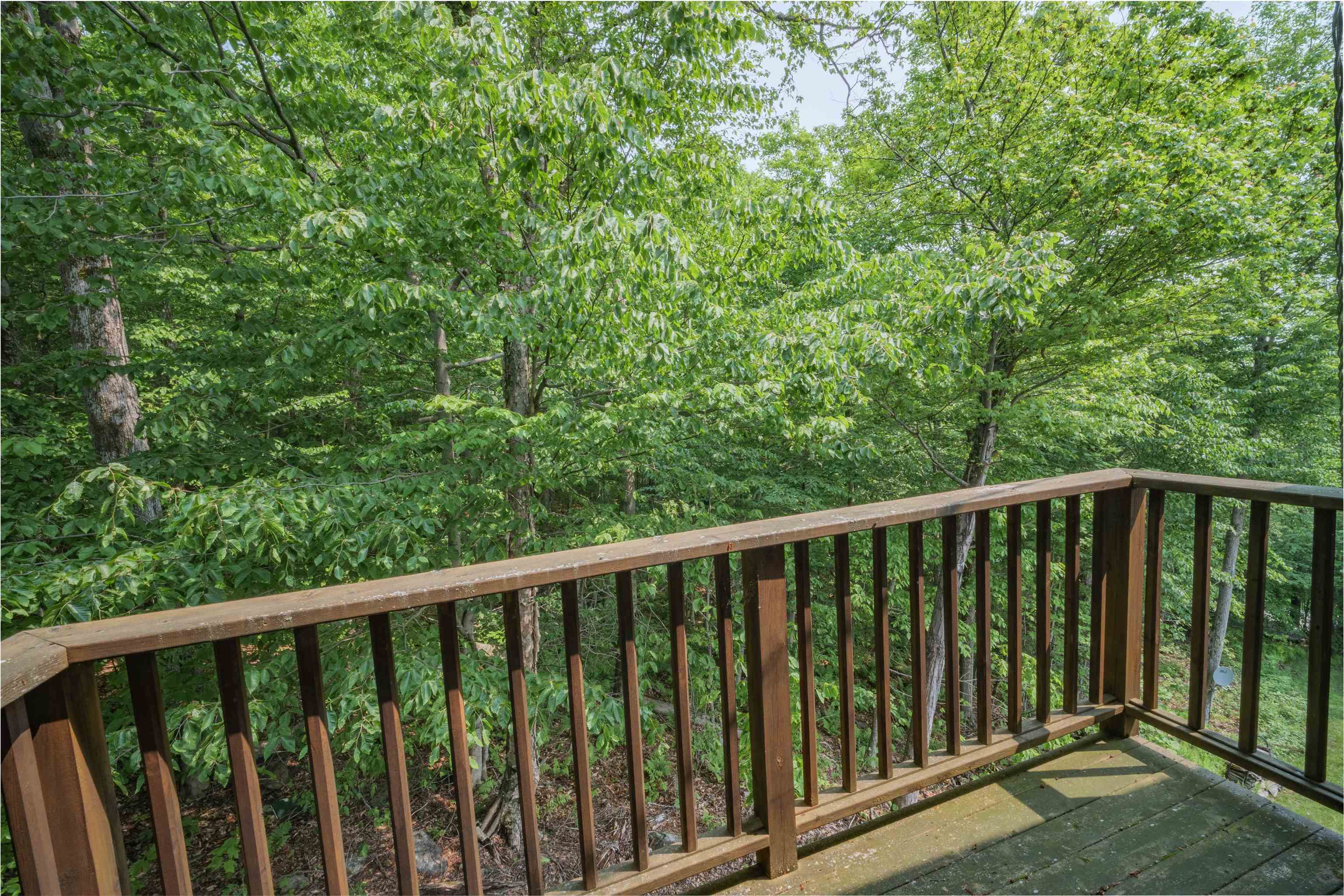 46 Scattered Timber Road Wilmington, VT 05363 - Photo 25 of 40