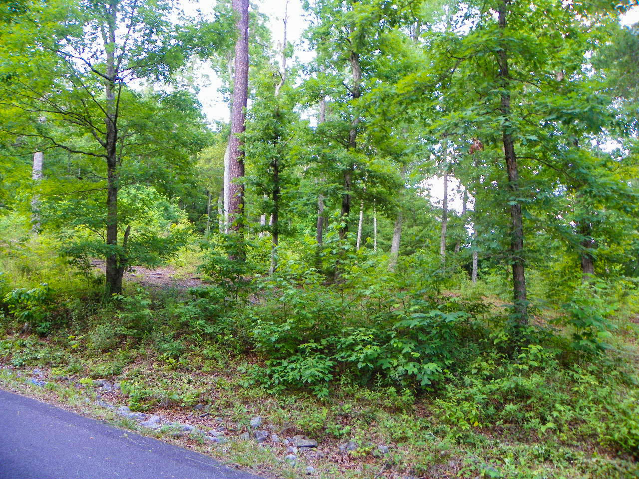Lot#12 Bogle Spring Loop Sevierville, TN 37862 - Photo 13 of 15 103_3661