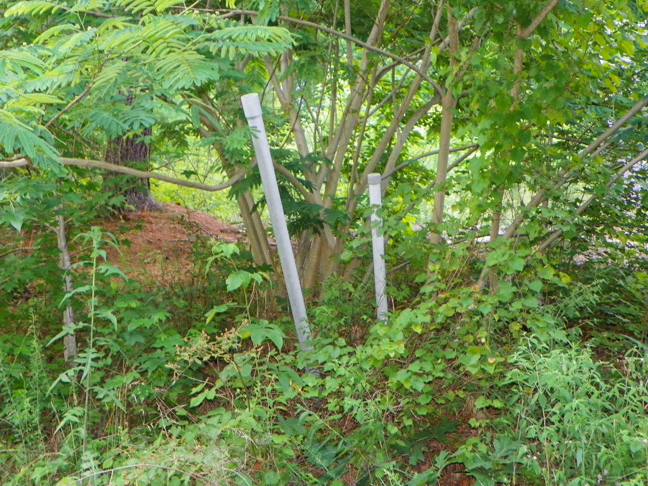 Lot#12 Bogle Spring Loop Sevierville, TN 37862 - Photo 7 of 15 103_3668