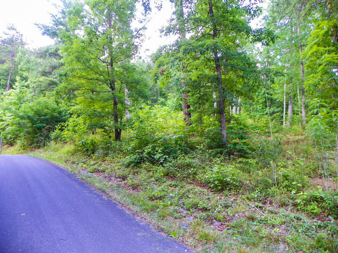 Lot#12 Bogle Spring Loop Sevierville, TN 37862 - Photo 8 of 15 103_3674