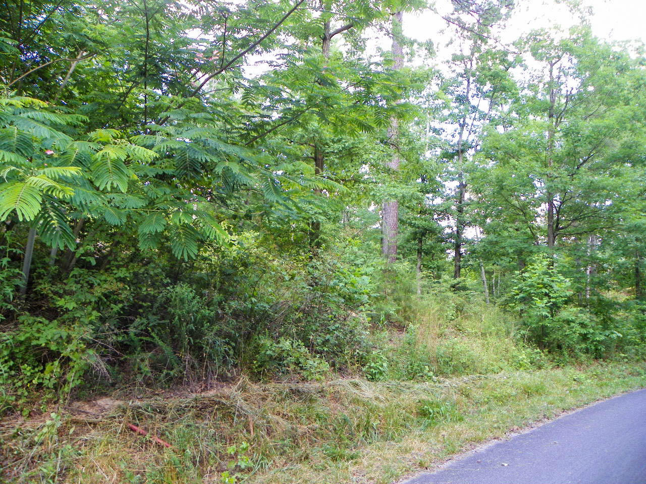 Lot#12 Bogle Spring Loop Sevierville, TN 37862 - Photo 10 of 15 103_3669