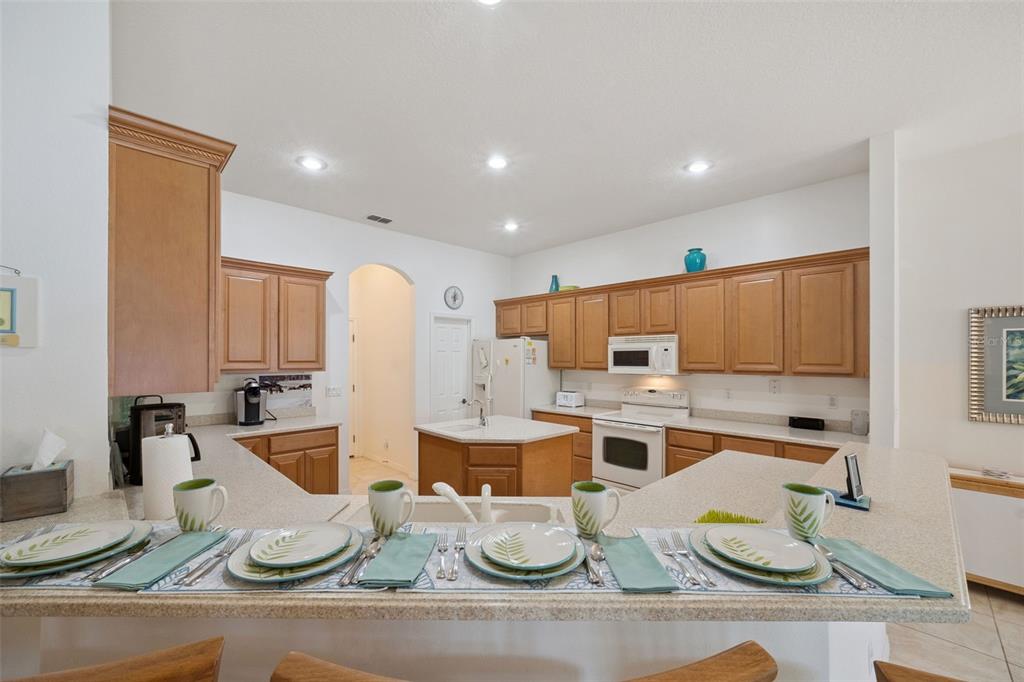 3719 Belle Rose Drive Leesburg, FL 34748 - Photo 14 of 36