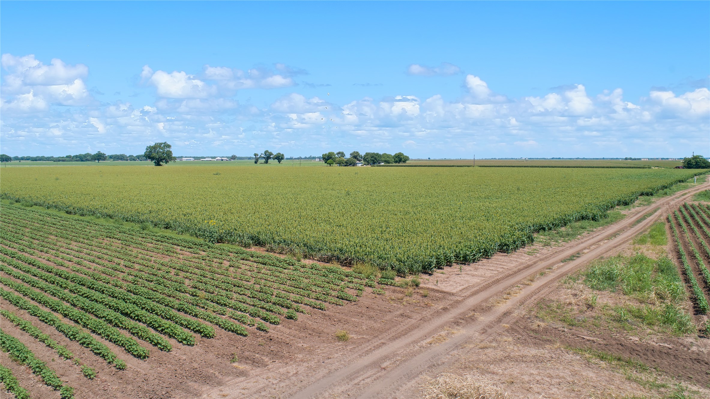 12485 Sandy Point Road Bryan, TX 77807 - Photo 1 of 14
