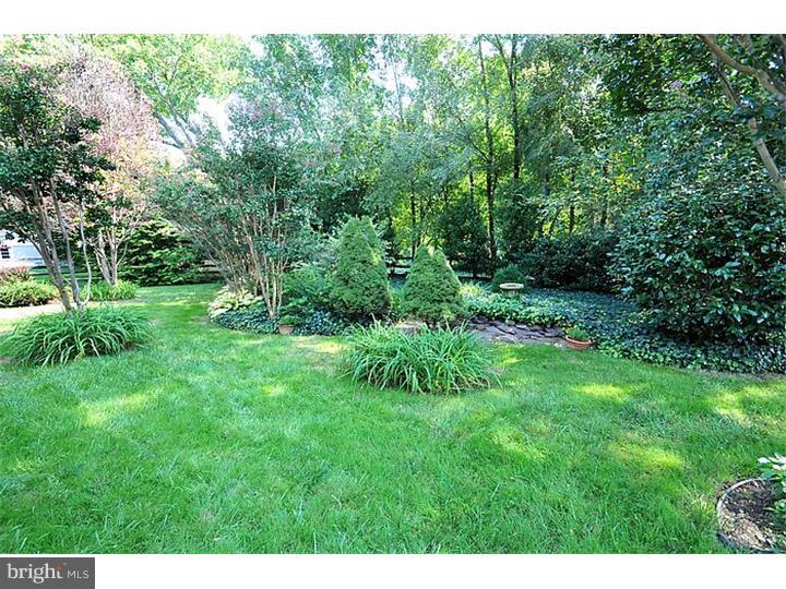 755 Baeder Road Jenkintown, PA 19046 - Photo 21 of 25 Back Yard