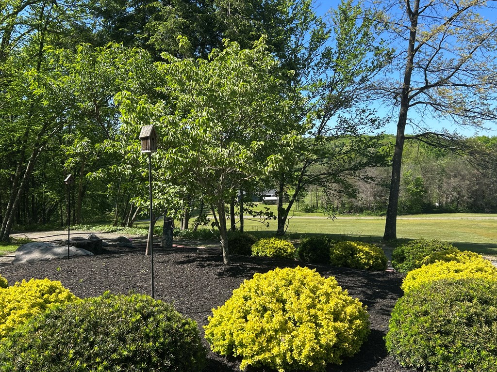188 Day City Road Corsica, PA 15829 - Photo 38 of 42