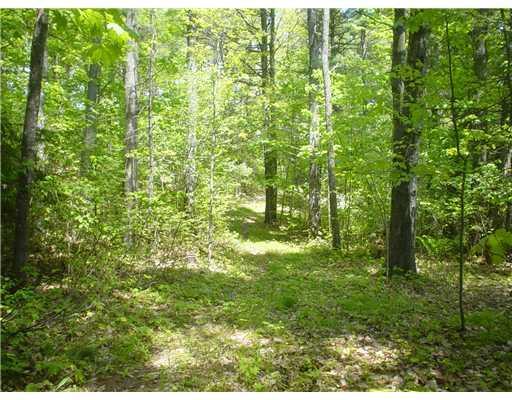 191 Shore Road Ellsworth, ME 04605 - Photo 5 of 12 Land.