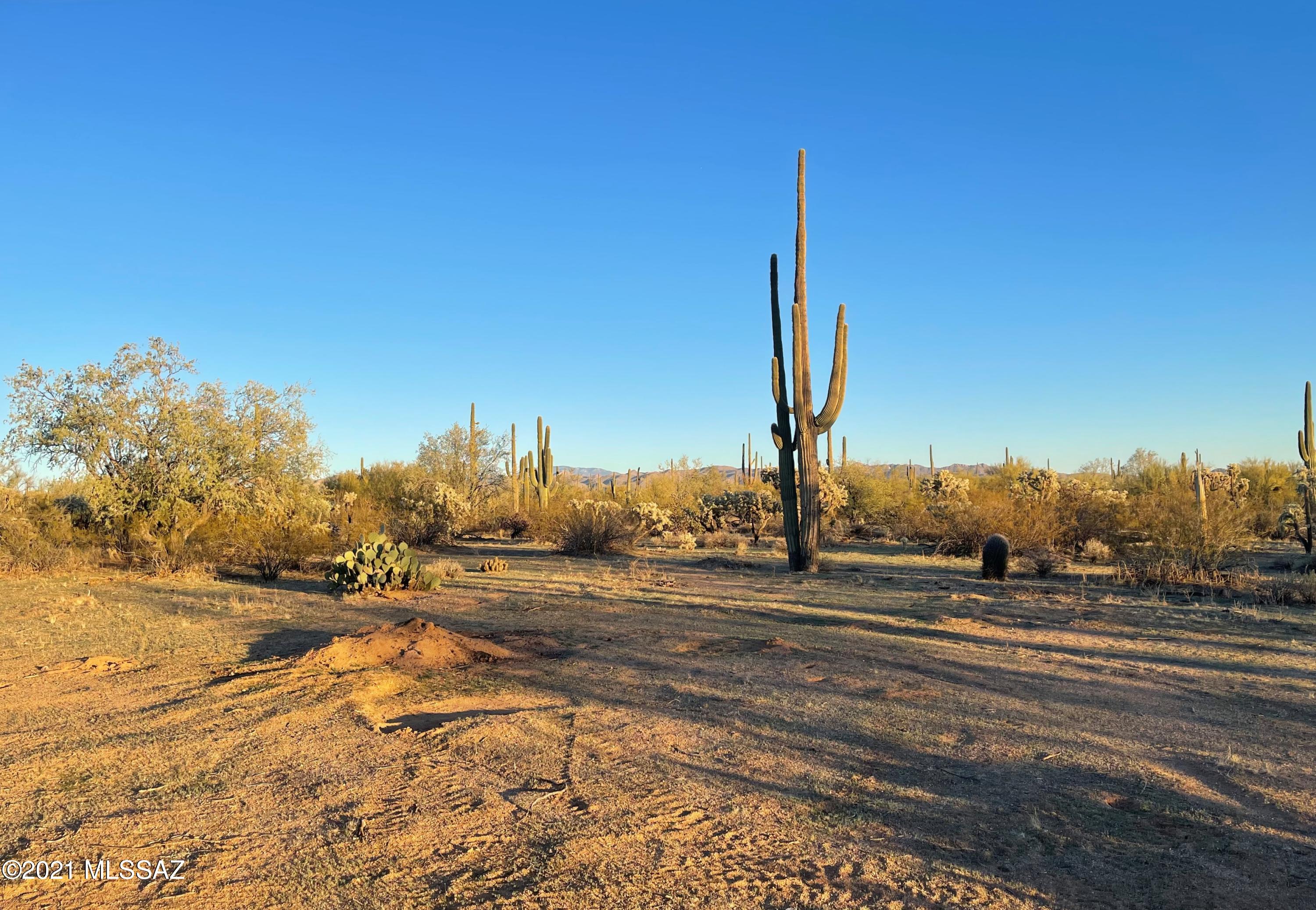 South Cattle Tank Road, Unit 20 Marana, AZ 85658 - Photo 12 of 20