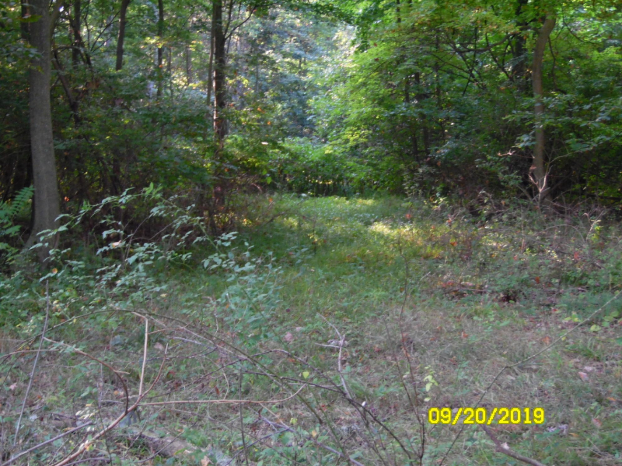 0 Long Lake Road Colon, MI 49040 - Photo 15 of 17 SAM_8249