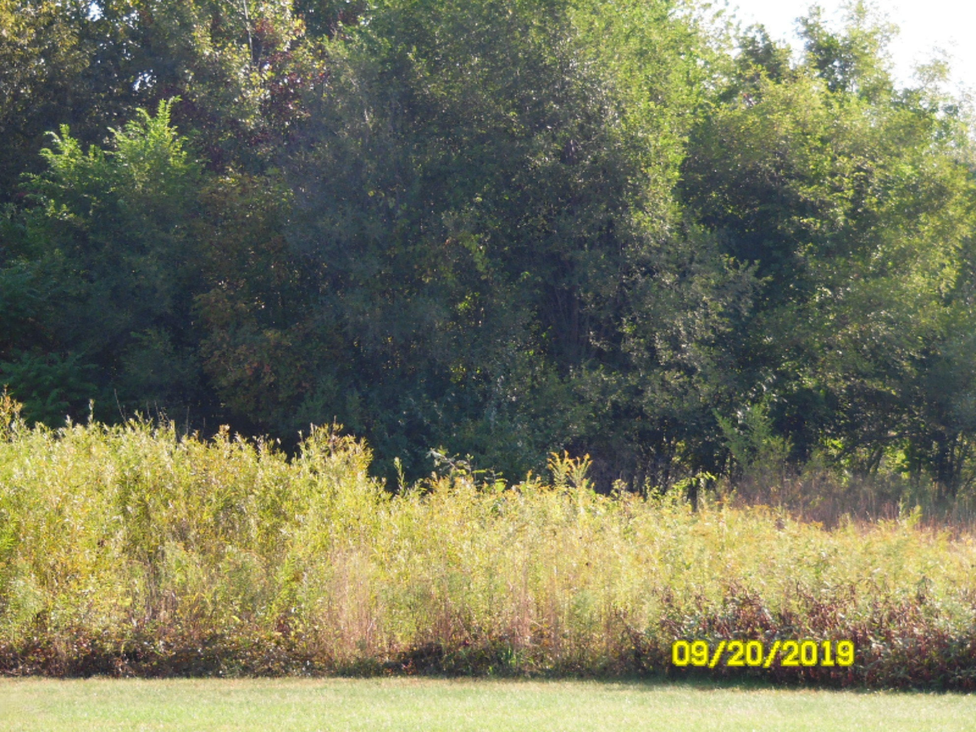 0 Long Lake Road Colon, MI 49040 - Photo 6 of 17 SAM_8264