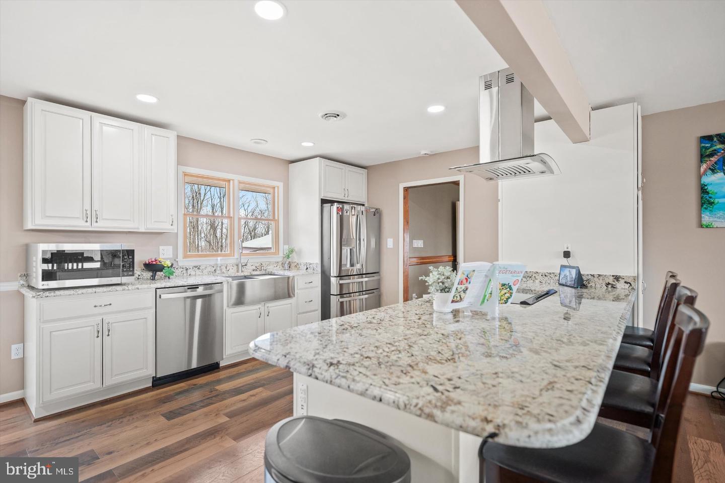436 Castleton Road Castleton, VA 22716 - Photo 15 of 48 Modern kitchen with elegant finishes.