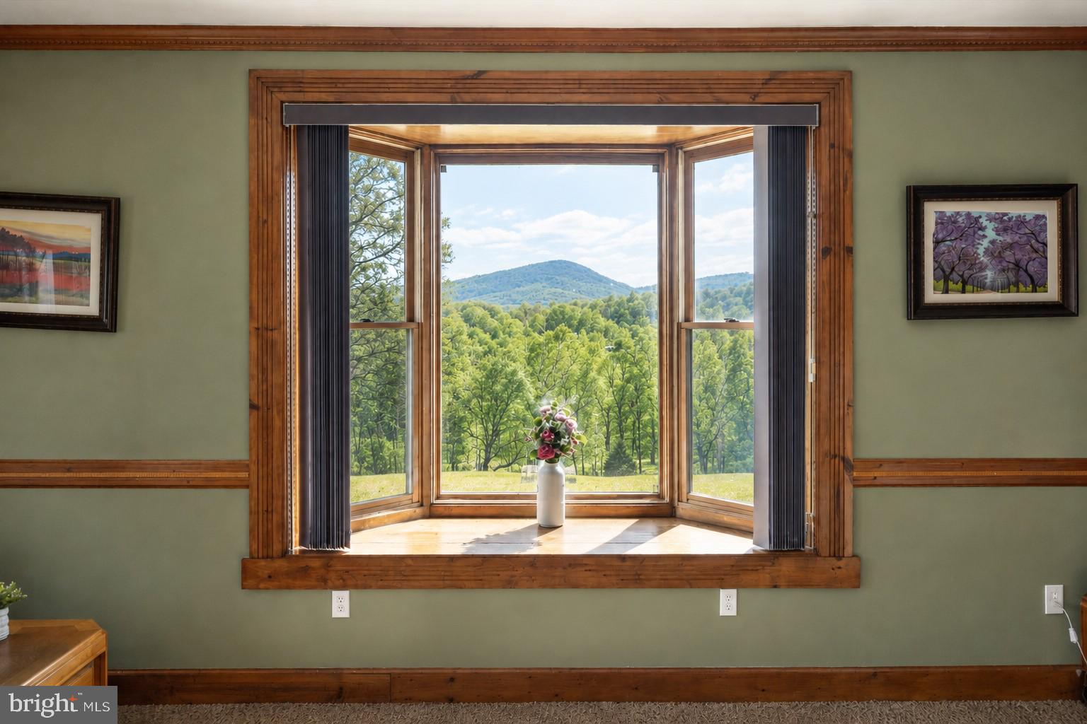 436 Castleton Road Castleton, VA 22716 - Photo 24 of 48 Scenic mountain view from a cozy nook.