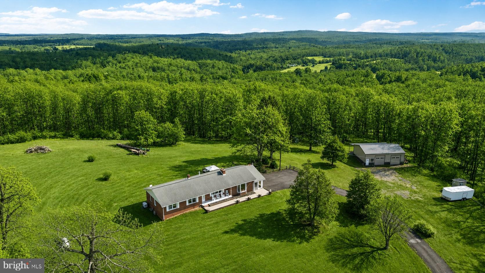 436 Castleton Road Castleton, VA 22716 - Photo 6 of 48 Serene countryside retreat with mountains.