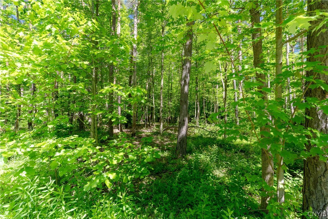 8804 Becker Road Springwater, NY 14572 - Photo 17 of 34