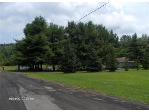 10 Houghtaling Road Port Crane, NY 13833 - Photo 3 of 16 Gallery Image 3