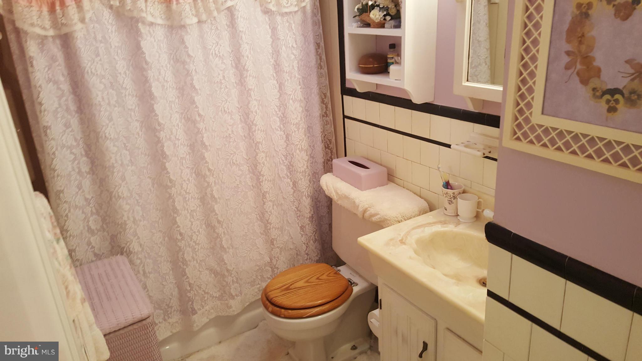 1632 Manor Road Baltimore, MD 21222 - Photo 9 of 19 Bath