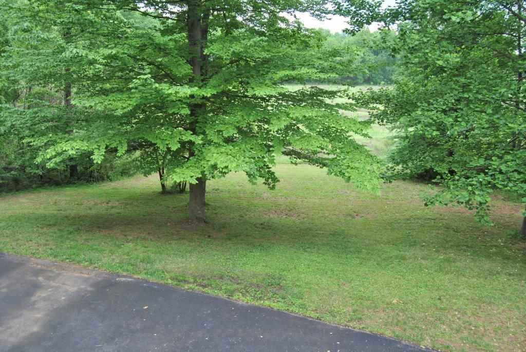 185 Friendship Church Road Scottsville, KY 42164 - Photo 16 of 23 Gallery Image 16