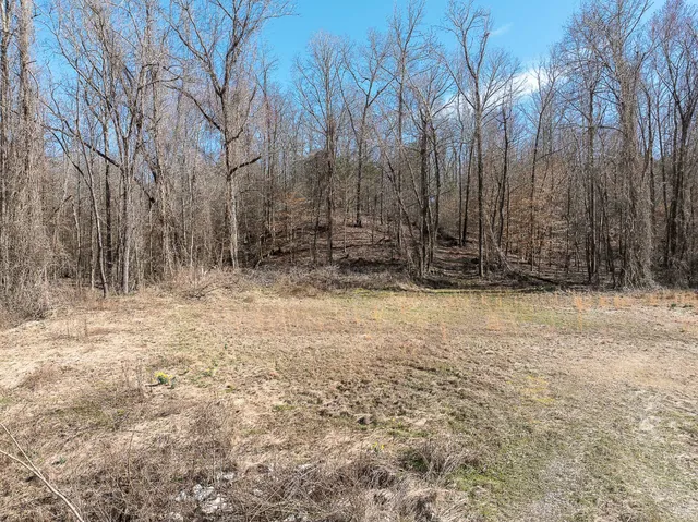 a view of wooden fence