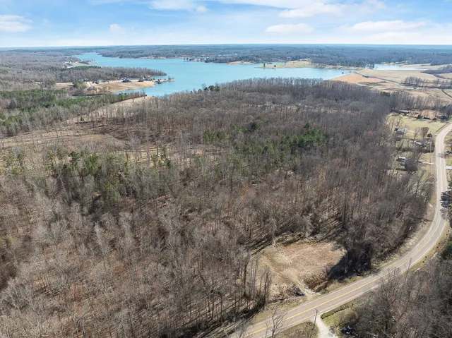 a view of a dry yard