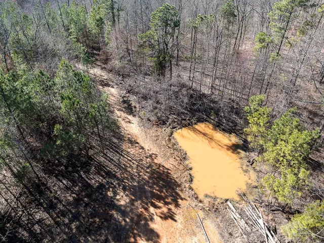 a view of a dry yard