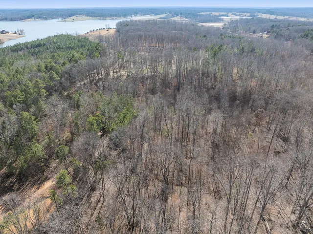 a view of city and mountain