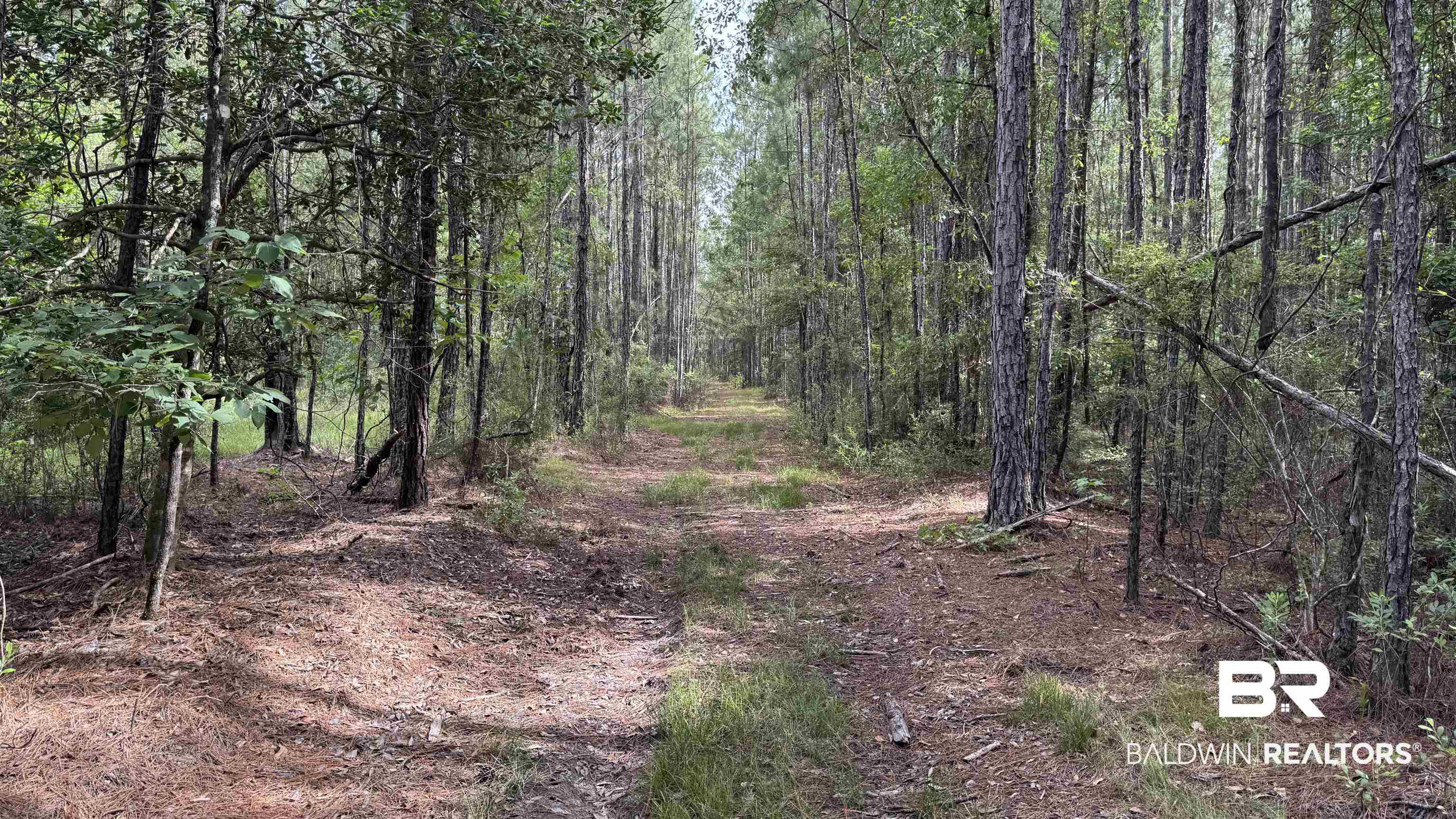 66409 James Road Stockton, AL 36579 - Photo 3 of 35
