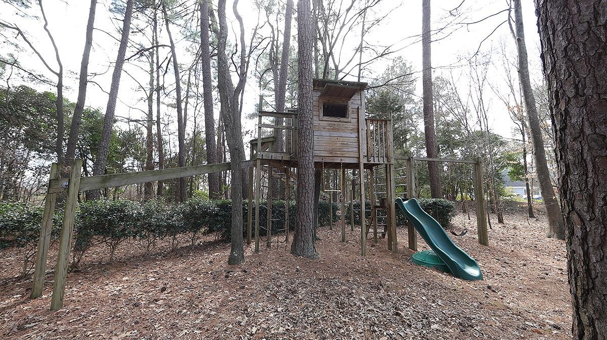 5427 Fortunes Ridge Drive Durham, NC 27713 - Photo 19 of 20 Play House & Equipment