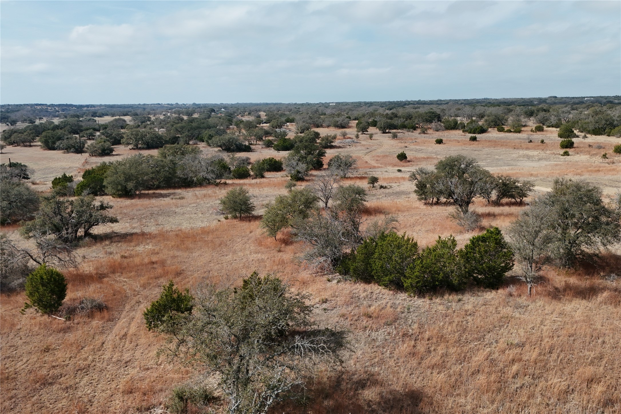 57-6 Bryce Trail Briggs, TX 78608 - Photo 7 of 11 a view of a dry yard with trees