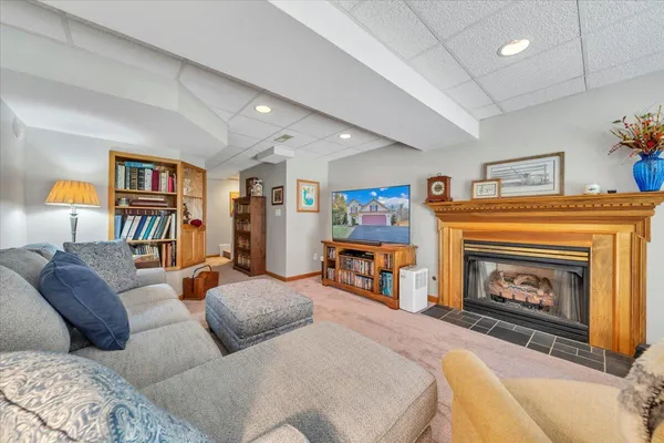 a view of a yard with trees in the background