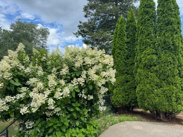 a backyard of a house with lots of green space