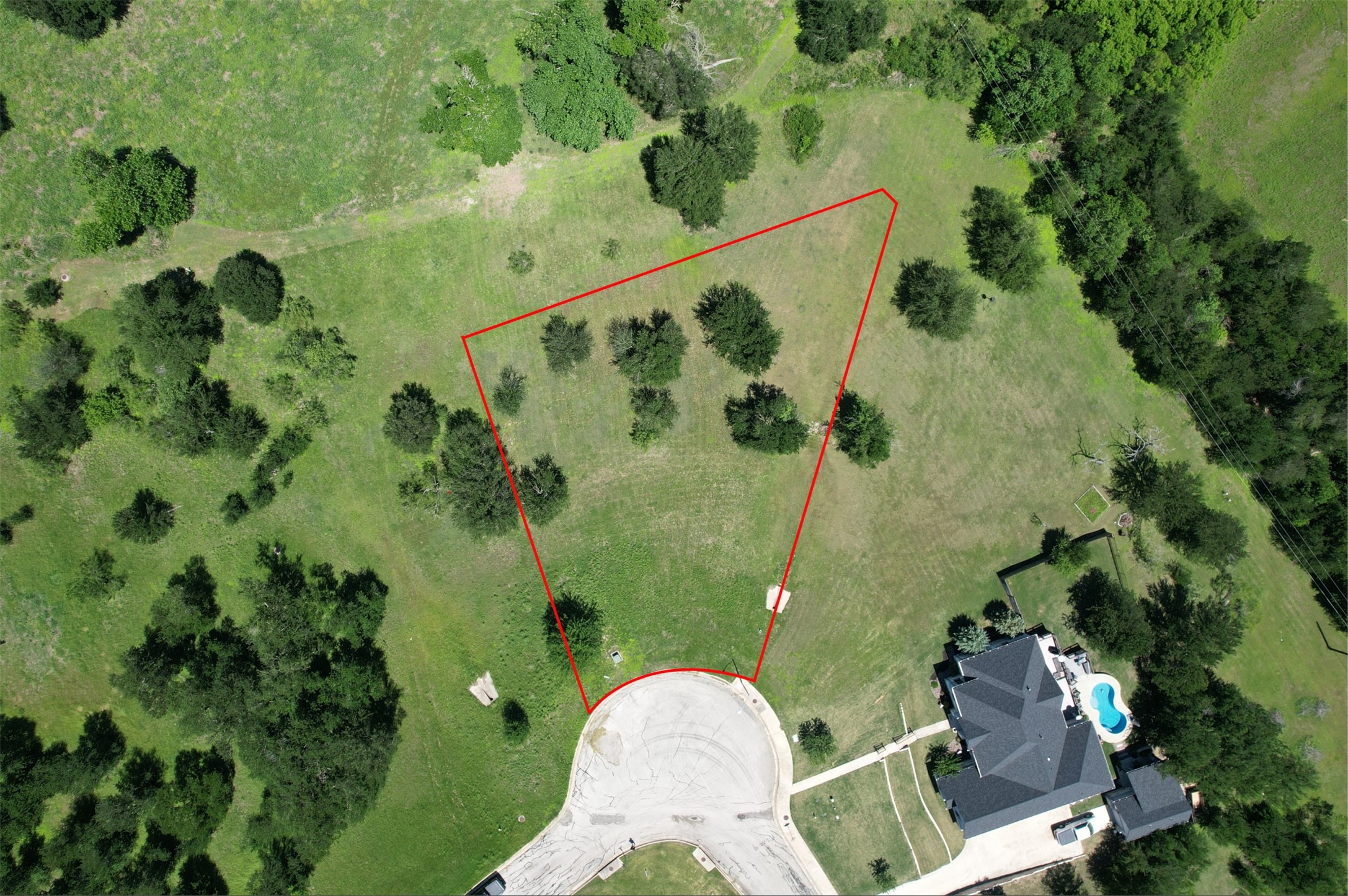 1700 Tanner Loop Taylor, TX 76574 - Photo 6 of 32 Expansive lot featuring a natural landscape and mature trees