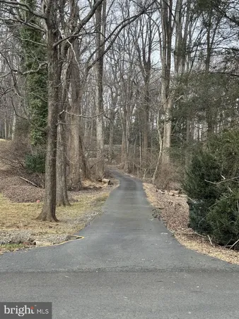 a view of a road with large trees
