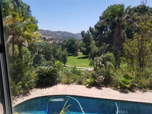 a view of a yard with plants