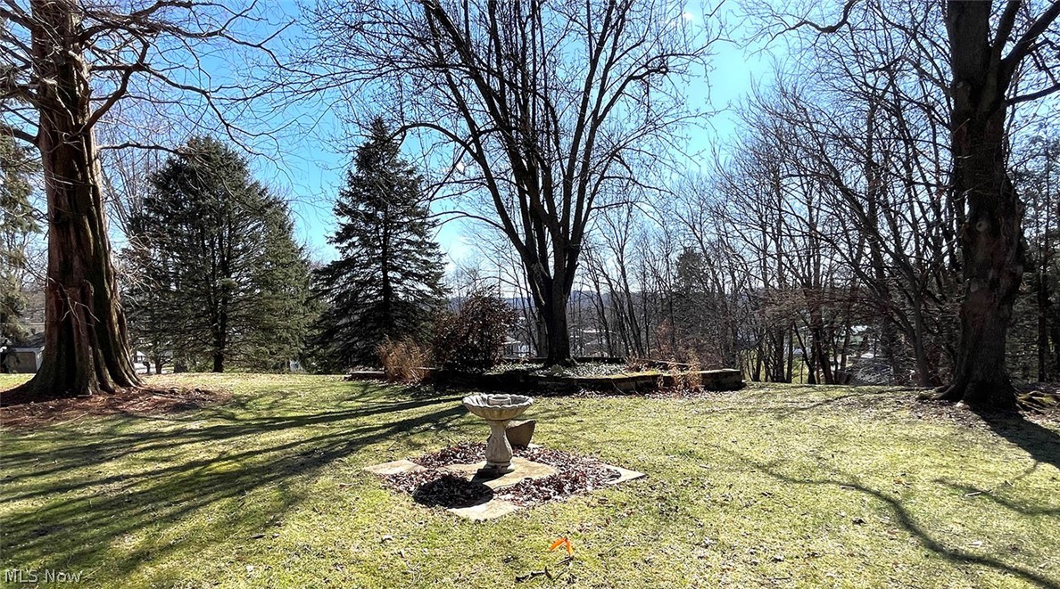 526 Ridgeleigh Street Minerva, OH 44657 - Photo 4 of 28 View of yard