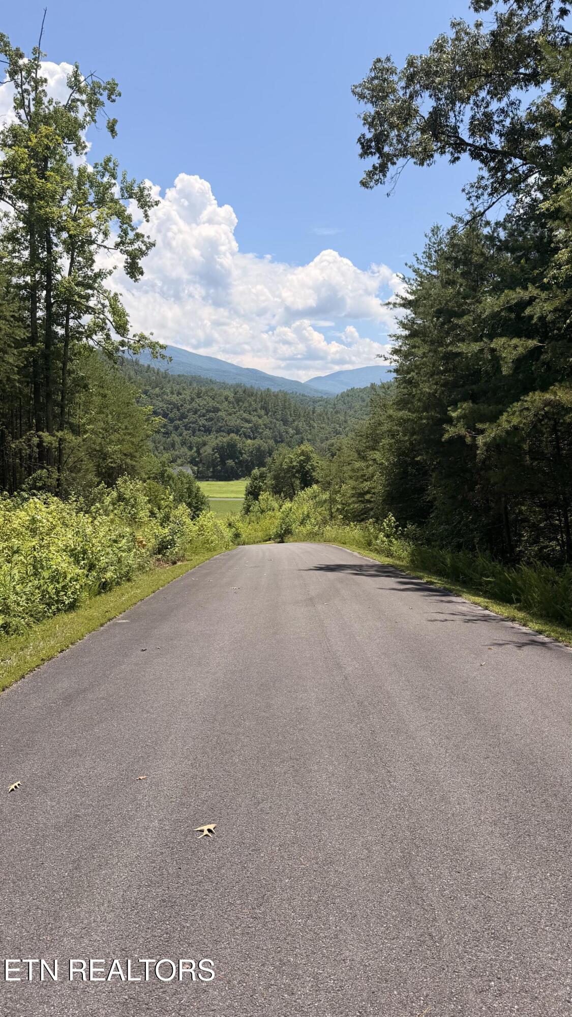 0 Huff Overlook Way Del Rio, TN 37727 - Photo 3 of 9 3_beyc6a4fc792cbe59