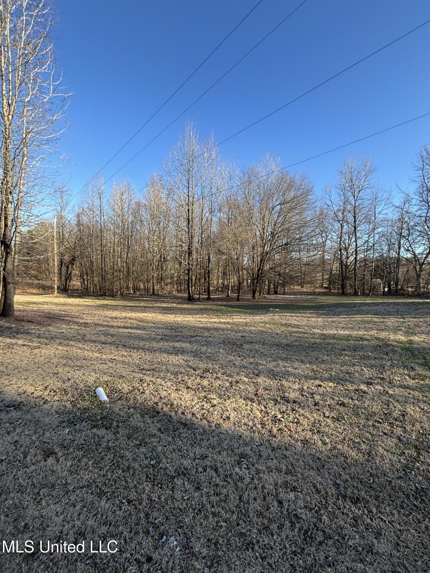 6253 Tchulahoma Road Southaven, MS 38671 - Photo 4 of 20 Photo Feb 25 2025, 4 12 16 PM