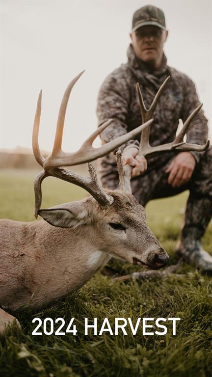 2340 Wright Road Sherman, TX 75092 - Photo 35 of 40 a close view of shoes
