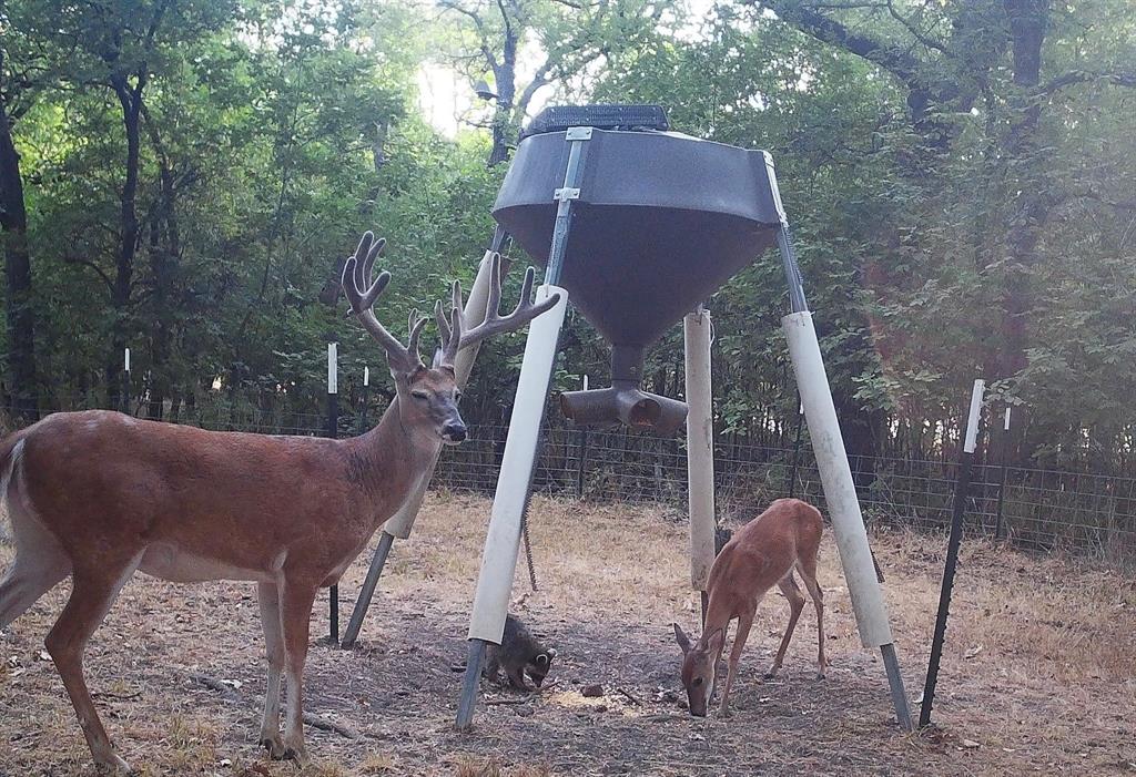 2340 Wright Road Sherman, TX 75092 - Photo 36 of 40