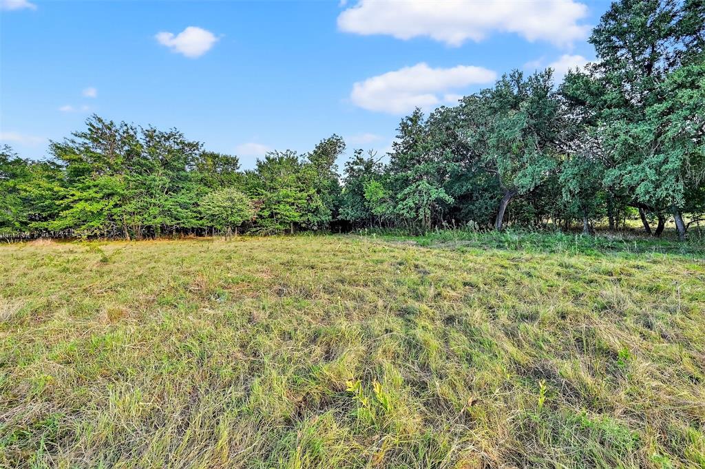 2340 Wright Road Sherman, TX 75092 - Photo 40 of 40 a view of a green yard with plants and a bench