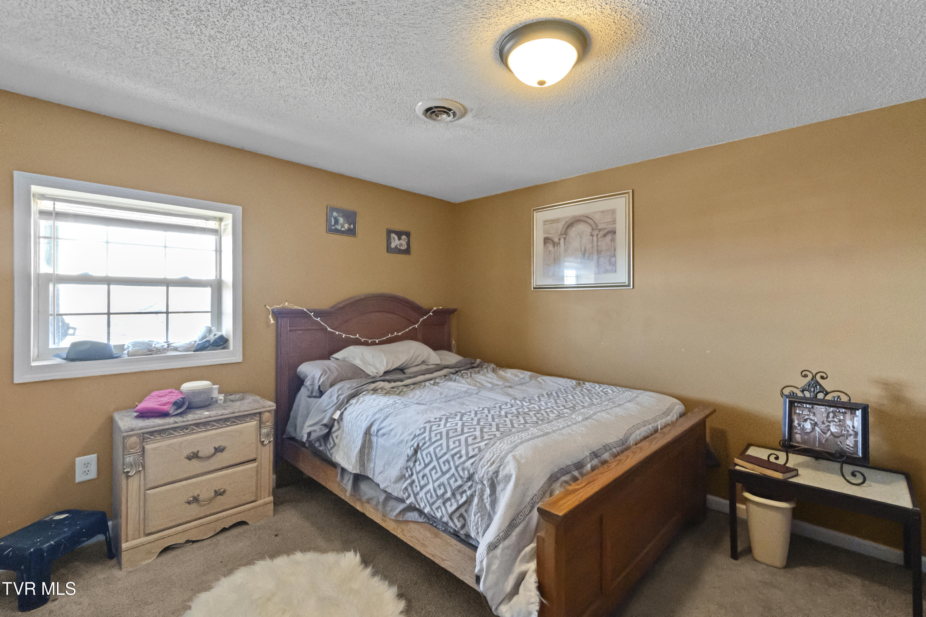 2205 Brown Springs Road Greeneville, TN 37743 - Photo 21 of 44 DSC08219