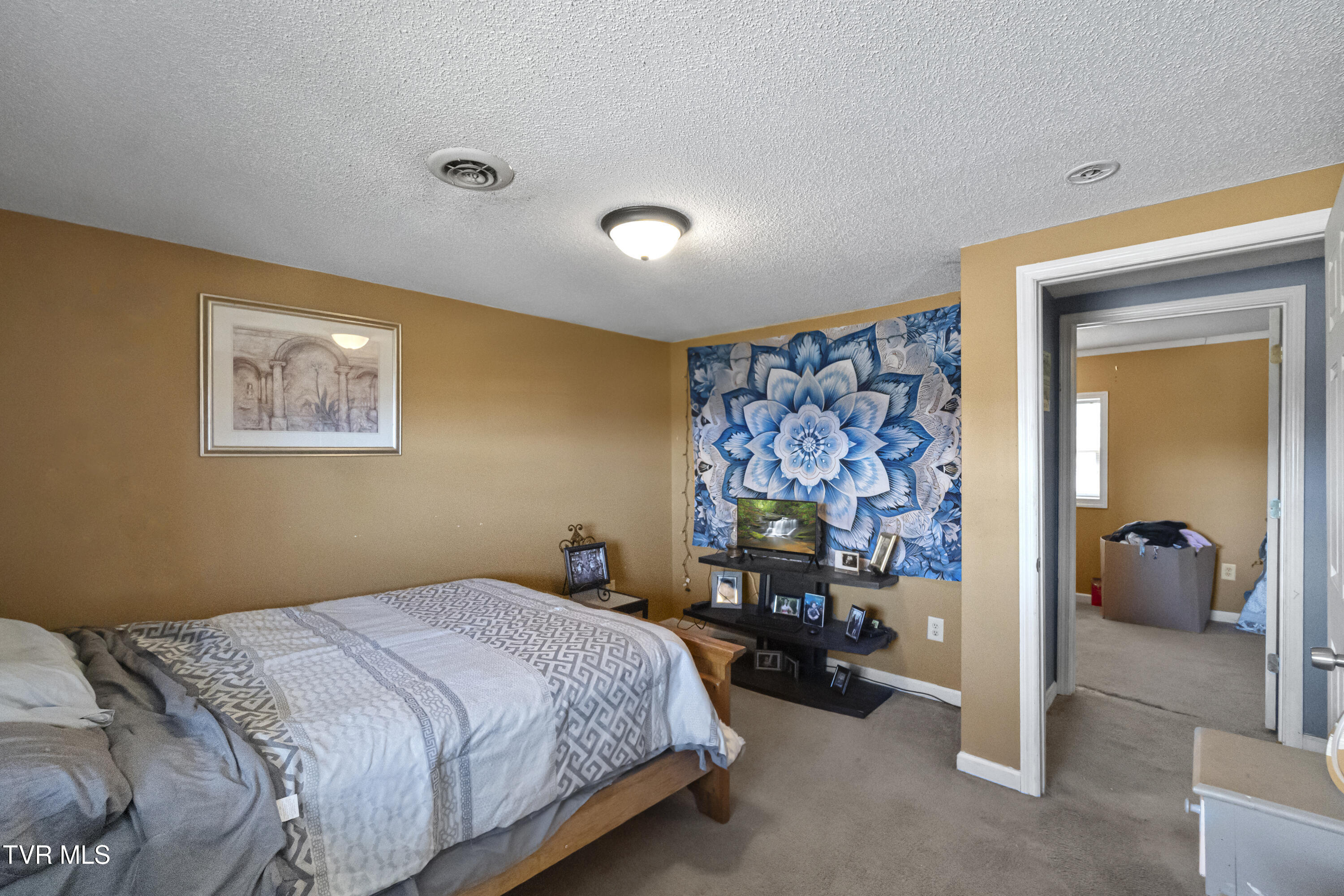 2205 Brown Springs Road Greeneville, TN 37743 - Photo 24 of 44 DSC08228