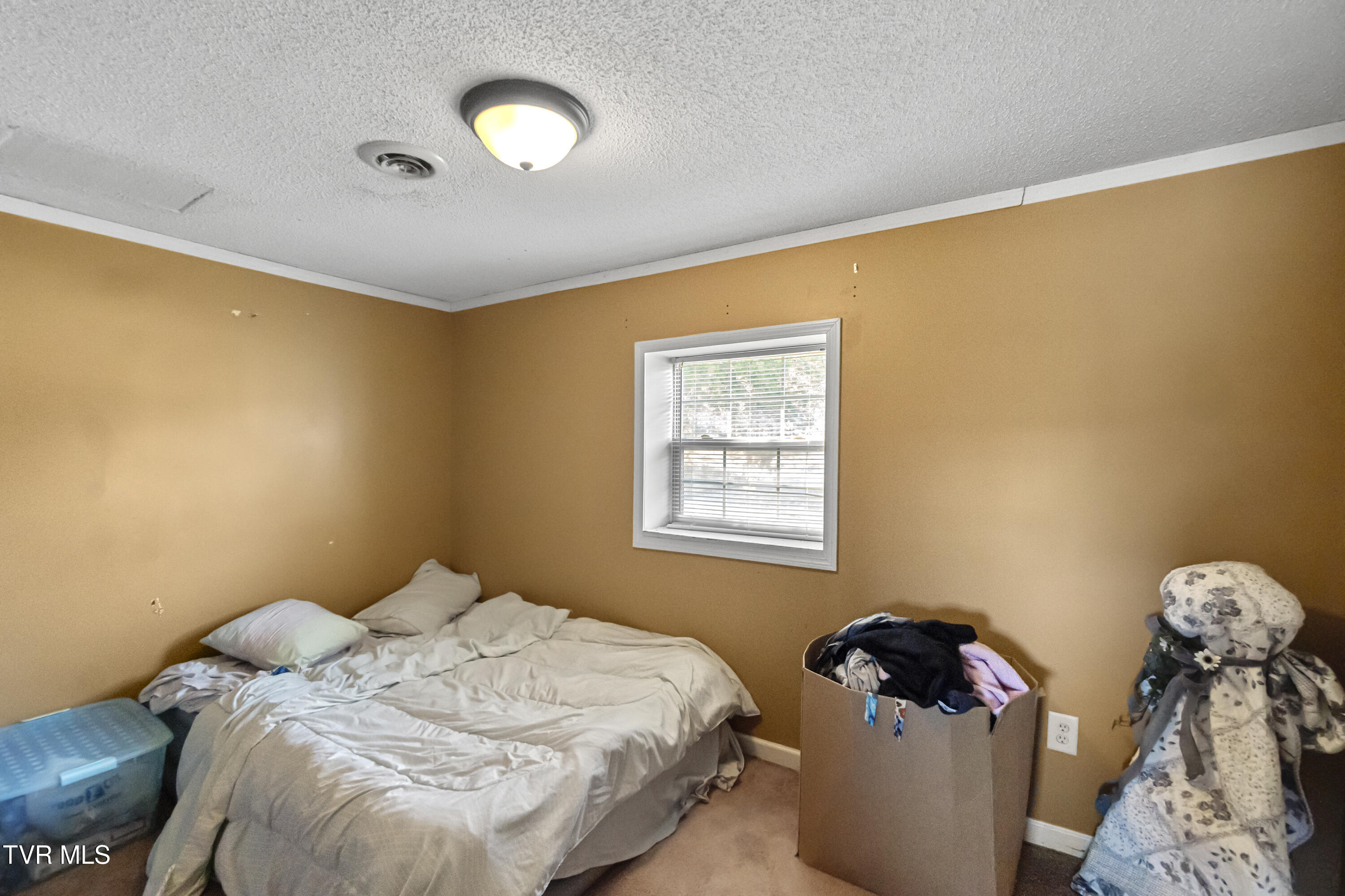 2205 Brown Springs Road Greeneville, TN 37743 - Photo 25 of 44 DSC08231